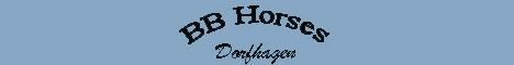 BB Horses