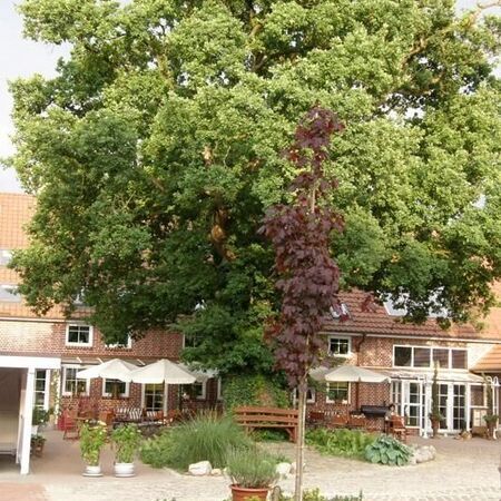 Eingang & Biergarten