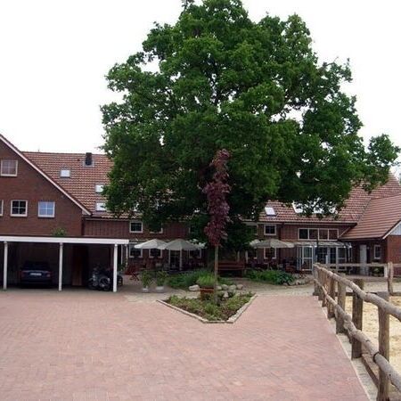 Außenanlagen & Stall